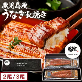 国産 うなぎかば焼き 長焼き 選べる数量（ 2尾/3尾 ） 【 送料無料 】 うなぎ 国産 鰻 ウナギ 国産うなぎ 人気 お取り寄せ 魚 焼き魚 おかず お惣菜 グルメ 贈り物 父の日 ギフト プレゼント お中元 うなぎ ギフト 山中水産