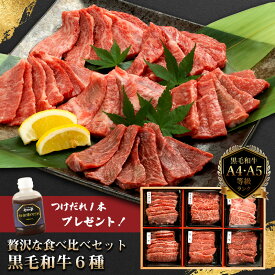 タレ付き！黒毛和牛6種セット ｜黒毛和牛 焼肉セット 6種 食べ比べ 国産 牛肉 480g サーロイン リブロース カルビ もも バラ うで タレ付き 肉 ギフト