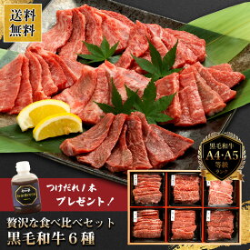 タレ付き！送料無料！黒毛和牛6種セット ｜黒毛和牛 焼肉セット 6種 食べ比べ 国産 牛肉 480g サーロイン リブロース カルビ もも バラ うで タレ付き 送料無料 肉 ギフト