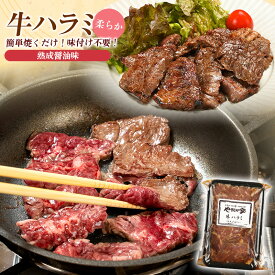 旨みたっぷり牛ハラミ1kg｜牛はらみ 1kg 味付き ハラミ 牛肉 焼肉 焼肉用 BBQ バーベキュー 大容量 冷凍 焼くだけ お取り寄せ