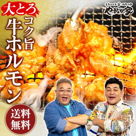 大とろコク旨牛ホルモン1kg 熟成醤油だれ 焼肉 ホルモン 牛 年末グルメ 年越グルメ