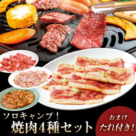 ソロキャンプ焼肉セット　牛タン切り落とし　元氣カルビ　鶏ハラミ醤油　上ホルモン　秘伝濃口だれ　やまなか家