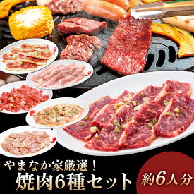 やまなか家厳選焼肉6種セット　牛ハラミ　元氣カルビ　豚トロ　鶏ハラミ醤油　牛タン切り落とし　鶏セセリ　元祖本だれ　やまなか家