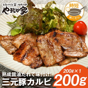 O؃Jr200gyĂȒPtsvzē   y ٓ tCp Z ς BBQ N y ܂Ȃ