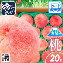 楽天市場】ワッサー 5kgの通販