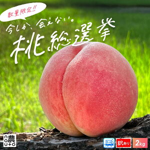 �� �R�� �󂠂� 2kg (5~8��) ���P ������ ���� �t���[�c �ʕ� (�I�ׂ�i��) ���� ���� �Ӑ� �y2�������ő��������z ������ �Y�n���� ���P �͂Ȃ�� �R�����Y �Ȃ��� �܂ǂ� ���݂��� ��