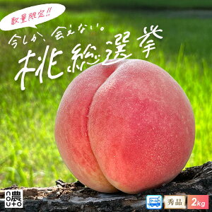 山梨県産 白鳳」の人気商品一覧・価格比較 - 価格.com