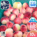 【P5倍】 桃 特に訳あり 10玉 (2.5kg~3.5kg目安) 加工用 家庭用 フルーツ 果物 加工 【6/22~発送】 品種お任せ もも …