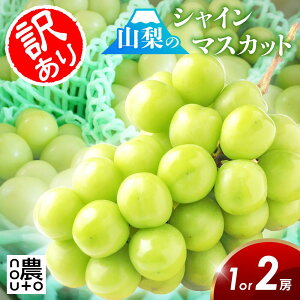 VC}XJbg 󂠂 R y1[ or 2[ z R Js x Mtg {  hV̓ Y yY  p 1kg 1L Ȃ t[c ʕ O Hi  yV  X