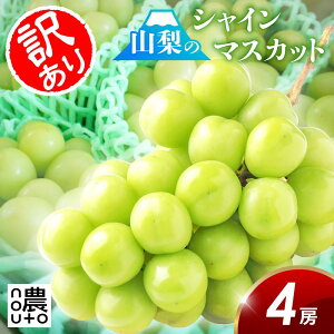 VC}XJbg 󂠂 R y 4[ 2kg ȏz R Js x Mtg {  hV̓ yY  p 2kg 2L Ȃ t[c ʕ O Hi  yV  X[