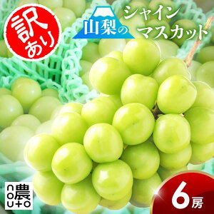 VC}XJbg 󂠂 R y 6[ 3kg ȏz R Js x Mtg {  hV̓ yY  p 3kg 3L Ȃ t[c ʕ O Hi  yV  X[