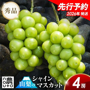 y2026Nz VC}XJbg R yȐ{:824甭z  y4[ 2kg Oz R Js x Mtg {  p v[g 2L Ȃ Y yY t[c ʕ 