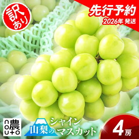 【2026年発送】 シャインマスカット 訳あり 山梨 【 4房 2kg 以上】 山梨県 笛吹市 糖度 ギフト 旬 夏 敬老の日 お土産 贈答 贈答用 2kg 2キロ 種なし フルーツ 果物 グルメ 食品 送料無料 楽天 お取り寄せ スーパーセール お買い物マラソン 買い回り