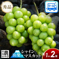 楽天市場】シャインマスカット 1kgの通販