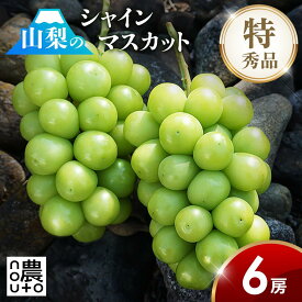 シャインマスカット 【6房 3.6kg前後】山梨 山梨県 山梨産 笛吹市 糖度 ギフト 旬 お中元 贈答用 プレゼント 大粒 甲府 種なし フルーツ 果物 シャイン マスカット 産地直送 社員マスカット 送料無料 楽天 お取り寄せ　　　　【予約商品:8月下旬発送開始】