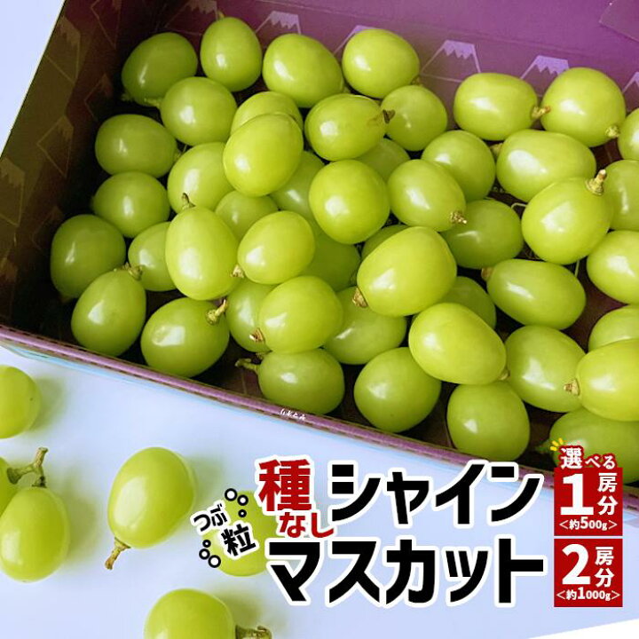 楽天市場】シャインマスカット 訳あり 山梨 【粒 1房分・2房分】 種 