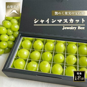 VC}XJbg R R RY Js x Mtg { hV̓ p  v[g 嗱 1kg 1L 2[ b{ Ȃ t[c ʕ VC }XJbg Yn Ԃǂ 