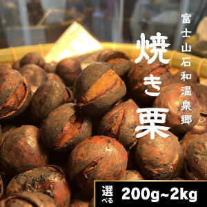 �嗱 �Ă��I 200g 500g 1kg 2kg �y�I�ׂ���e�ʁI�z 3L �T�C�Y ���Y���a�I �a�I�i�� �I �X�C�[�c �Ǝ����͐��@ �������� ���Y�� �����s�g�p �F�� �I ���� ������ ���َq ���y�Y �������� �v���[