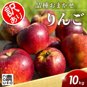  󂠂  10kg 쌧Y e ƒp i킨܂ Â VLVL H Tӂ VimXC[g Hf t[c ʕ KiO Yn Y    Mtg 