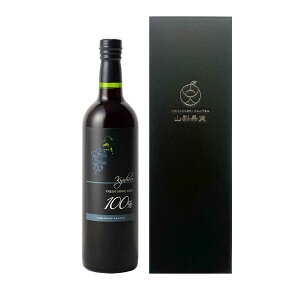 Rʎ W[Xij 720ml Ԃǂ O[v  ʏ` 100% Xg[g@Y  Zk Mtg   Ε N a ̓ ̓ v[g mAR[