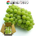 ぶどう シャインマスカット ギフト 山梨県産 産地直送 贈答用ぶどう 秀 化粧箱入 送料無料※一部地域を除く【お中元 敬老の日 ギフト プレゼント 贈り物 フルーツ 果物 ブドウ 葡萄 内祝 お誕生日プレゼント 御礼 御祝 残暑緒見舞い 御供】