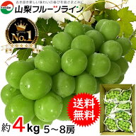 シャインマスカット 4kg 山梨 ギフト 大粒 特秀 産地直送 送料無料※一部地域を除く【お中元 敬老の日 贈…
