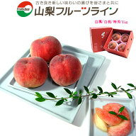 桃 山梨 白鳳 白桃 お中元 もも ギフト 特秀 送料無料※一部地域を除く あかつき 甲斐黄金桃【贈答用 モ…
