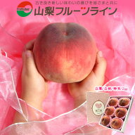 【山梨フルーツライン】桃 山梨 白鳳 白桃 甲斐黄金桃 お中元 夏ギフト 特秀 2kg 5～8個入 送料無料※一…