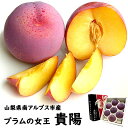 お中元 夏ギフト 山梨県 南アルプス市産 プラム すもも スモモ 貴陽 きよう 皇寿 こうじゅ 6個から9個入 約1.8〜2Kg 化粧箱入 お中元 御中元 ギフト 贈り物 プレゼント 産地直送 送料無料※一部地域を除く