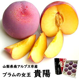 お中元 夏ギフト 山梨県 南アルプス市産 プラム すもも スモモ 貴陽 きよう 皇寿 こうじゅ 6個から9個入 約1.8〜2Kg 化粧箱入 お中元 御中元 ギフト 贈り物 プレゼント 産地直送 送料無料※一部地域を除く