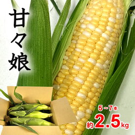 父の日 とうもろこし かんかんむすめ トウモロコシ 甘々娘 山梨県産 L〜2L 5〜7本入 約2.5kg 送料無料 ※一部地域を除く