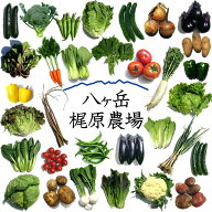 野菜セット 詰め合わせ 農家直送 山梨県産 北杜市 無農薬 無化学肥料栽培 野菜7品目詰め合わせ 送料無料 …