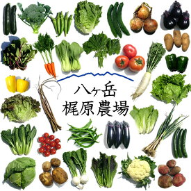 野菜セット 詰め合わせ 農家直送 山梨県産 北杜市 無農薬 無化学肥料栽培 野菜7品目詰め合わせ 送料無料 一部地域を除く