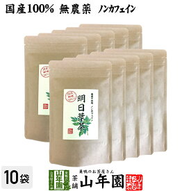 【国産 無農薬 100%】明日葉茶 40g×10袋セット 伊豆諸島で採れた明日葉茶 ノンカフェイン 送料無料 明日葉 アシタバ茶 あしたば茶 明日葉粒 苗 サプリ 健康茶 妊婦 ダイエット 粉末 セット ギフト プレゼント 母の日 父の日 プチギフト お茶 2024 内祝い