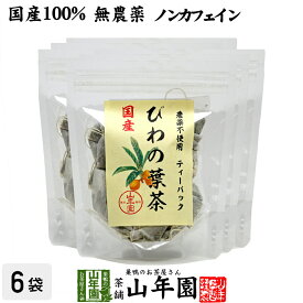 【国産100%】びわ茶 びわの葉茶 ティーパック 1.5g×20パック×6袋セット 宮崎産　鹿児島県産 無農薬 ノンカフェイン 送料無料 ティーバッグ 枇杷茶 枇杷の葉 国産 ビワ ビワの葉 高級 ギフト プレゼント 母の日 父の日 プチギフト お茶 2024 内祝い お返し