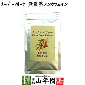 【無農薬】カムカムパウダー 50g ペルー産 粉末 ノンカフェイン 送料無料 ビタミンC ヨーグルト スムージー 苗 サプリ 健康茶 妊婦 ダイエット セット ギフト プレゼント 父の日 お中元 プチギフト お茶 2024 内祝い お返し