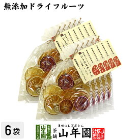 【無添加ドライフルーツ】シトラスチップス 50g×10袋セット送料無料 愛媛県産の7種類の柑橘を使用 健康食品 内祝い 贈り物 お土産 ギフト 食物繊維 男性 女性 お歳暮 御歳暮 プチギフト お茶 2025 プレゼント 通販