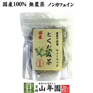 yY100%zǂݒ eB[pbN _ 1.5g×20pbN mJtFC {茧Y  ǂ݉ϐ hN_~  N ǂݒ ǂ݂̗t hN_~ Dw _CGbg Z