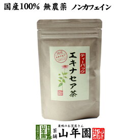 【国産 100%】エキナセア茶 2g×10パック ノンカフェイン 鳥取県または熊本県産 無農薬 送料無料 ハーブティー エキナセア お茶 エキナセアティー 健康茶 妊婦 ダイエット サプリ 苗 セット ギフト プレゼント 母の日 父の日 プチギフト 2024 内祝い お返し