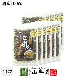 ڂ Y  70g×11܃Zbg mJtFC S{E   ڂ H@ ڂ̔璃 Ε Ε v`Mtg  2025 Mtg v[g j Ԃ N