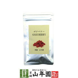 【無添加100%】ゴジベリー クコの実 70g 送料無料 ダイエット ゴジベリー くこの実 サプリ ドライフルーツ スープ スムージー クコ茶 スーパーフード セット ギフト プレゼント 母の日 父の日 プチギフト お茶 2026 内祝い お返し