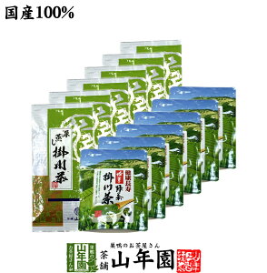 【掛川茶】掛川深蒸し茶+掛川粉末茶セット 12袋セット(600g+300g) 送料無料 日本茶 お茶 茶葉 煎茶 国産 粉末茶 静岡茶 粉末緑茶 緑茶 ギフト お歳暮 御歳暮 プチギフト お茶 2025 内祝い プレゼン