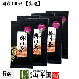 【高級】特選ブラック掛川茶 100g×6袋セット 送料無料 深蒸し茶 日本茶 茶葉 国産 お茶 緑茶 ギフト 父の日 お中元 プチギフト お茶 2024 内祝い プレゼント 還暦祝い 男性 女性 父 母 贈り物 香典返し お土産 おみやげ お祝い 誕生日 祖母 贈り物 お礼 夫婦