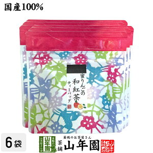 【国産100%】蜜りんごの和紅茶 2g×5パック×6袋セット 送料無料 静岡県産紅茶 青森県産りんご 国産 リンゴ 日本茶 林檎 ティーバッグ 紅茶 ティーパック ダイエット ギフト プレゼント 内祝い