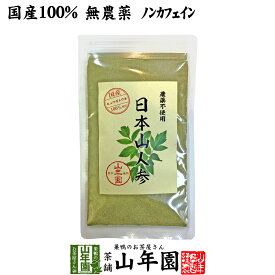 【国産 無農薬 100%】日本山人参 粉末 ヒュウガトウキ 50g パウダー 九州産ノンカフェイン 送料無料 日本山人参茶 ヒュウガトウキ茶 日本山にんじん茶 日本山ニンジン茶 サプリ セット ギフト プレゼント 父の日 お中元 プチギフト お茶 2024 内祝い お返し