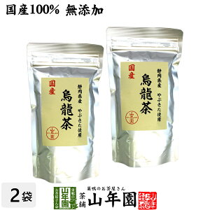 yY 100%zG E[ 100g×2܃Zbg Y  ÉY Ԃi Y _CGbg { t Mtg v[g Ε Ε v`Mtg  2025 j Ԃ