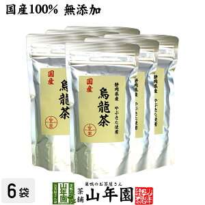 yY 100%zG E[ 100g×6܃Zbg Y  ÉY Ԃi Y _CGbg { t Mtg v[g Ε Ε v`Mtg  2025 j Ԃ