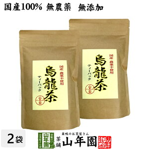 yY Y 100%zG E[ eB[pbN 2.5g×24pbN×2܃Zbg Y  啪Y eB[obO Y _CGbg { t Mtg v[g Ε Ε v`M