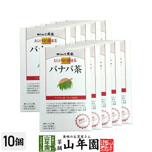 炪̌N oio 3g×28pbN×10Zbg  炪ނ̌N  Ε Ε v`Mtg  2025 Mtg v[g j җj j    z 