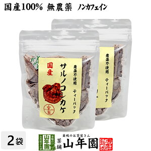【国産100%】サルノコシカケ茶 ティーパック 1.5g×20パック×2袋セット 宮崎産 鹿児島県産 無農薬 ノンカフェイン 送料無料 ティーバッグ さるのこしかけ サルノコシカケ 国産 高級 ギフト プ